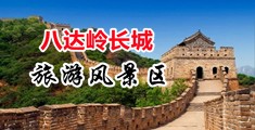 毛茸茸的逼中国北京-八达岭长城旅游风景区